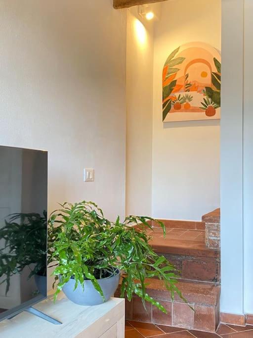 Vila Relax&Business Wi-Fi, Tv Hd, Parcheggio Gratuito Capannori Exteriér fotografie